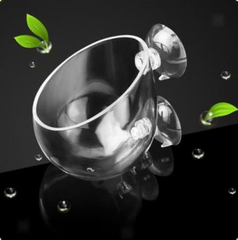 /images/product_images/info_images/chashka-dlja-vyraschivanija-rastenij-aqua-tech-glass-cups_2.jpg