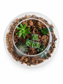 /images/product_images/info_images/jekskljuzivnyj-avtorskij-phlorarium-aqua-tech-exclusive-florarium-fl002_2.png