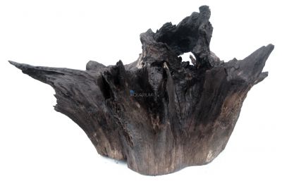 /images/product_images/info_images/korjaga-0078_2.jpg