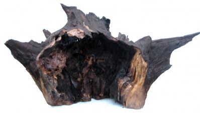 /images/product_images/info_images/korjaga-0078_3.jpg