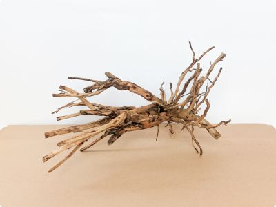 /images/product_images/info_images/korjaga-v-akvarium--terrarium---naturalnaja-prirodnaja-dekoracija-0341_1.jpg