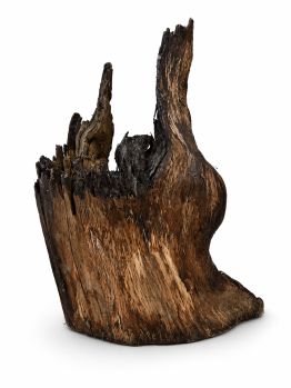 /images/product_images/info_images/korjaga-v-akvarium--terrarium---naturalnaja-prirodnaja-dekoracija-0364_1.png