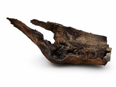 /images/product_images/info_images/korjaga-v-akvarium--terrarium---naturalnaja-prirodnaja-dekoracija-0364_3.png
