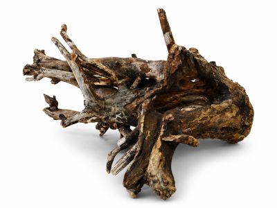 /images/product_images/info_images/korjaga-v-akvarium--terrarium---naturalnaja-prirodnaja-dekoracija-0365_1.png