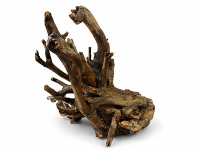 /images/product_images/info_images/korjaga-v-akvarium--terrarium---naturalnaja-prirodnaja-dekoracija-0365_2.png