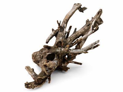 /images/product_images/info_images/korjaga-v-akvarium--terrarium---naturalnaja-prirodnaja-dekoracija-0365_4.png