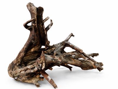 /images/product_images/info_images/korjaga-v-akvarium--terrarium---naturalnaja-prirodnaja-dekoracija-0365_6.png
