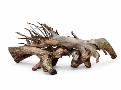 /images/product_images/info_images/korjaga-v-akvarium--terrarium---naturalnaja-prirodnaja-dekoracija-0366_1.png