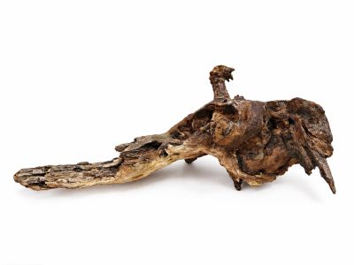 /images/product_images/info_images/korjaga-v-akvarium--terrarium---naturalnaja-prirodnaja-dekoracija-0369_1.png