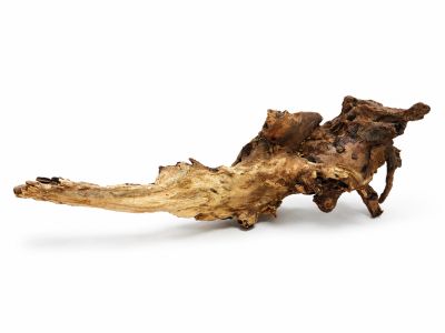 /images/product_images/info_images/korjaga-v-akvarium--terrarium---naturalnaja-prirodnaja-dekoracija-0369_2.png