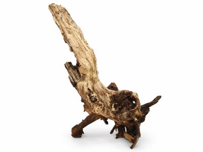 /images/product_images/info_images/korjaga-v-akvarium--terrarium---naturalnaja-prirodnaja-dekoracija-0369_3.png