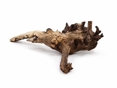 /images/product_images/info_images/korjaga-v-akvarium--terrarium---naturalnaja-prirodnaja-dekoracija-0369_4.png