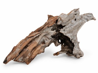 /images/product_images/info_images/korjaga-v-akvarium--terrarium---naturalnaja-prirodnaja-dekoracija-0372_1.png