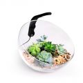 Декоративный аквариумный комплект - Wabi Set