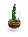 Эксклюзивный авторский флорариум Aqua-Tech Exclusive Florarium, FL003